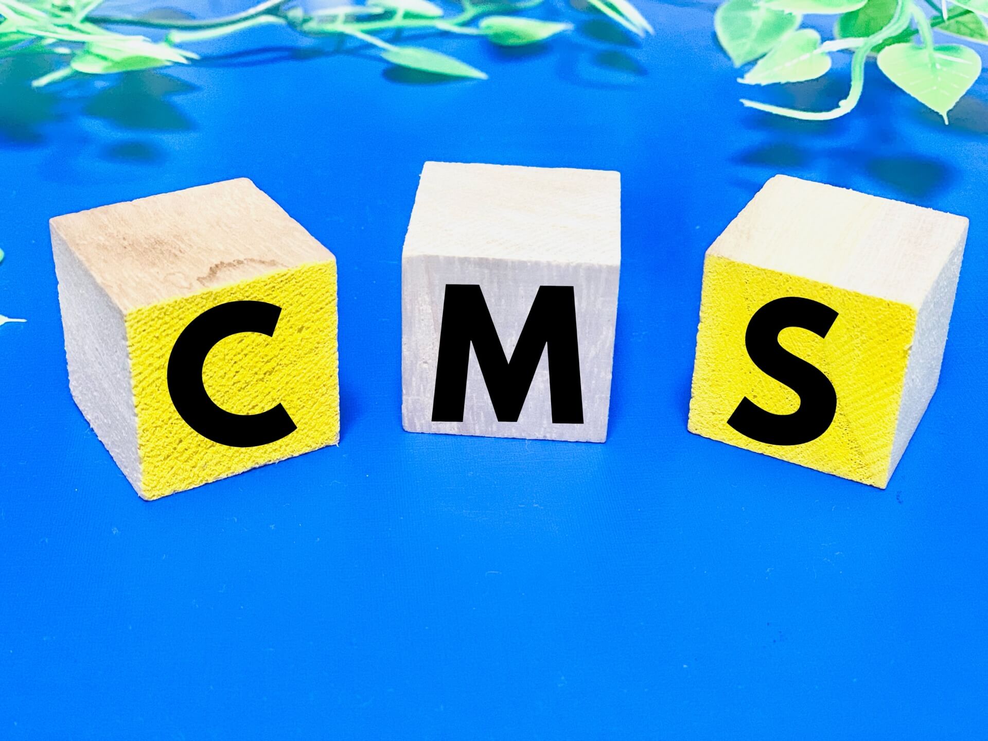 「【ホームページのキホン】CMSとは？わかりやすく解説！」のサムネイル